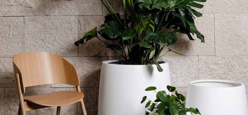 Balcony Container Setup