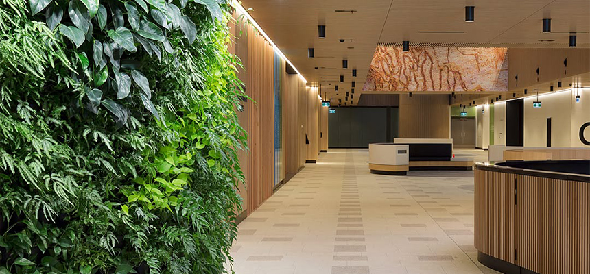 Balcony Container Setup